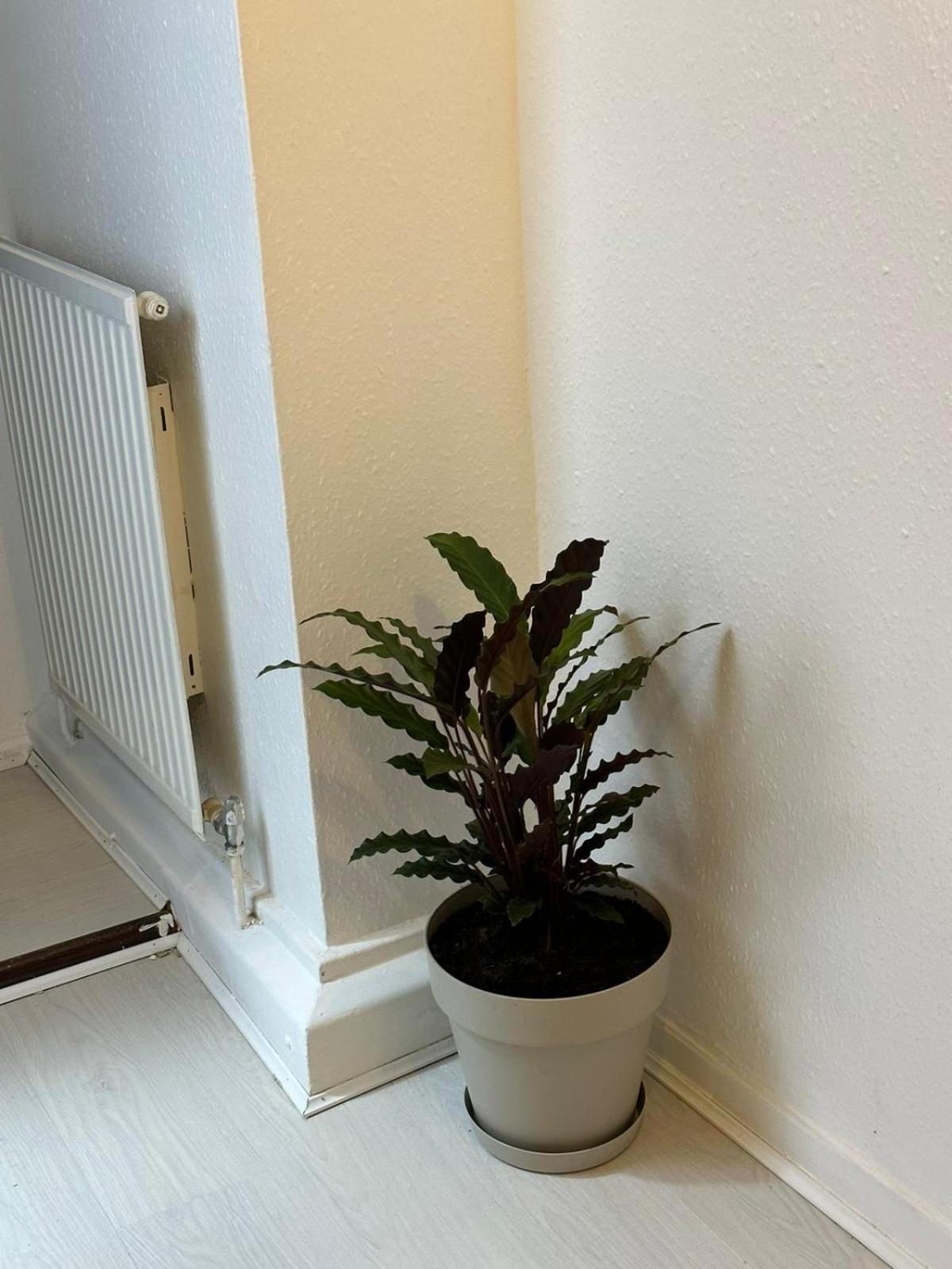 3 Bedroom King Cross Station City Centre London Exterior foto